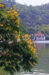 SRI LANKA, Kandy, Kandy Lake, and tree blossom, SLK3617JPL