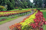 SRI LANKA, Kandy, Peradeniya Botanical Gardens, Flower Garden, SLK4915JPL