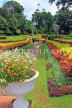 SRI LANKA, Kandy, Peradeniya Botanical Gardens, Flower Garden, SLK4916JPL