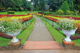 SRI LANKA, Kandy, Peradeniya Botanical Gardens, Flower Garden, SLK4918JPL