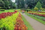 SRI LANKA, Kandy, Peradeniya Botanical Gardens, Flower Garden, SLK4930JPL