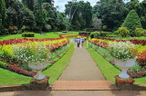 SRI LANKA, Kandy, Peradeniya Botanical Gardens, Flower Garden, SLK4931JPL