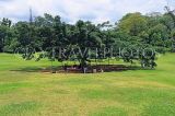 SRI LANKA, Kandy, Peradeniya Botanical Gardens, Giant Java Fig tree (140 years old), SLK4942JPL