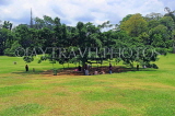 SRI LANKA, Kandy, Peradeniya Botanical Gardens, Giant Java Fig tree (140 years old), SLK4943JPL