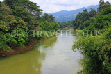 SRI LANKA, Kandy, Peradeniya Botanical Gardens, Mahaweli Ganga (river) by gardens, SLK4956JPL