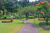 SRI LANKA, Kandy, Peradeniya Botanical Gardens, SLK4826JPL