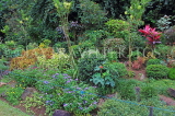 SRI LANKA, Kandy, Peradeniya Botanical Gardens, SLK4835JPL