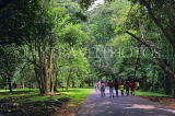 SRI LANKA, Kandy, Peradeniya Botanical Gardens, SLK4861JPL