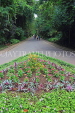 SRI LANKA, Kandy, Peradeniya Botanical Gardens, SLK4893JPL