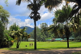 SRI LANKA, Kandy, Peradeniya Botanical Gardens, SLK5831JPL