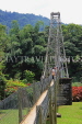SRI LANKA, Kandy, Peradeniya Botanical Gardens, Suspension Bridge, SLK4905JPL
