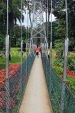 SRI LANKA, Kandy, Peradeniya Botanical Gardens, Suspension Bridge, SLK4911JPL