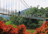 SRI LANKA, Kandy, Peradeniya Botanical Gardens, Suspension Bridge, SLK4913JPL