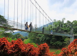SRI LANKA, Kandy, Peradeniya Botanical Gardens, Suspension Bridge, SLK4914JPL
