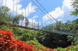 SRI LANKA, Kandy, Peradeniya Botanical Gardens, Suspension Bridge, SLK5826JPL