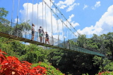 SRI LANKA, Kandy, Peradeniya Botanical Gardens, Suspension Bridge, SLK5827JPL