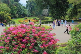 SRI LANKA, Kandy, Peradeniya Botanical Gardens, and Bougainvillea flowers, SLK4839JPL