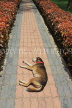 SRI LANKA, Kandy, Raja Wasala Park,dog having an afternoon nap, SLK3769JPL
