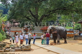 SRI LANKA, Kandy, Temple of the Tooth (Dalada Maligawa), Sri Natha Devalaya, visitors with elephant, SLK3491JPL