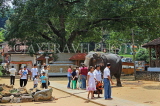 SRI LANKA, Kandy, Temple of the Tooth (Dalada Maligawa), Sri Natha Devalaya, visitors with elephant, SLK3492JPL