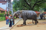 SRI LANKA, Kandy, Temple of the Tooth (Dalada Maligawa), Sri Natha Devalaya, visitors with elephant, SLK3493JPL