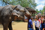 SRI LANKA, Kandy, Temple of the Tooth (Dalada Maligawa), Sri Natha Devalaya, visitors with elephant, SLK3495JPL