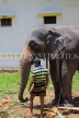 SRI LANKA, Kandy, Temple of the Tooth (Dalada Maligawa), elephant and mahout at temple site, SLK3315JPL