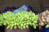 SRI LANKA, Kandy, Temple of the Tooth (Dalada Maligawa), stall selling flower offerings, SLK3421JPL