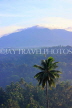 SRI LANKA, Kandy, hillside scenery, and coconut tree, SLK3649JPL