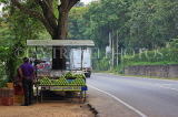 SRI LANKA, Kandy, roadside stall, selling Guava fruit, SLK3638JPL