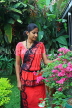 SRI LANKA, Kandy, woman in traditional Kandyan dress, SLK2992JPL