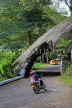SRI LANKA, Kandy area, Kadugannawa, Dawson's Rock and tunnel, SLK2486JPL
