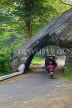 SRI LANKA, Kandy area, Kadugannawa, Dawson's Rock and tunnel, SLK2536JPL