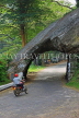 SRI LANKA, Kandy area, Kadugannawa, Dawson's Rock and tunnel, SLK2537JPL