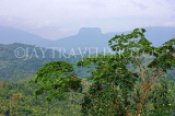 SRI LANKA, Kandy area, Kadugannawa, view towards Bible Rock, SLK2539JPL
