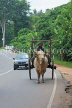 SRI LANKA, Kandy area, ox drawn cart, rural scene, SLK2573JPL