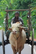 SRI LANKA, Kandy area, ox drawn cart, rural scene, SLK2575JPL