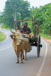 SRI LANKA, Kandy area, ox drawn cart, rural scene, SLK2579JPL