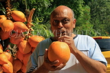 SRI LANKA, Kandy area, roadside stall selling King Coconut (Thambili), drinking fruit with straw, SLK2569JPL