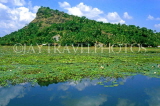 SRI LANKA, Kurunegala, rural scene, hill and lotus filled lake, SLK225JPL
