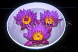 SRI LANKA, Lotus flowers in bowl, SLK186JPL