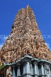 SRI LANKA, Matale, Arulmigu Sri Muthumariamman Hindu Temple (Kovil), Raja Koburum, SLK2963JPL