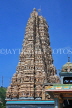 SRI LANKA, Matale, Arulmigu Sri Muthumariamman Hindu Temple (Kovil), Raja Koburum, SLK2977JPL