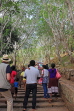 SRI LANKA, Mihintale temple site, prilgrims climbing the ancient granite stairway, SLK5383JPL