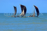 SRI LANKA, Negombo, catamarans with sail (traditional fishing boat) at sea, SLK5971JPL