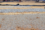 SRI LANKA, Negombo, fish drying out (to prepare salt fish), SLK6307JPL