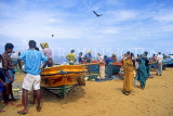 SRI LANKA, Negombo, fishermen and customers by boats just come in, SLK1676JPL