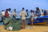 SRI LANKA, Negombo, fishermen sorting out catch from nets, SLK1684JPL