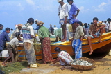 SRI LANKA, Negombo, fishermen with their boat and sorting out catch, SLK1770JPL