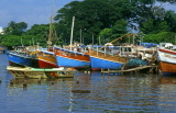 SRI LANKA, Negombo, fishing boats lined up in Negombo Lagoon, SLK218JPL